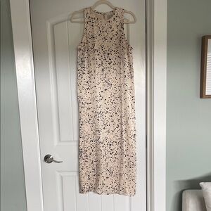 Everlane Cream and Black Maxi Dress